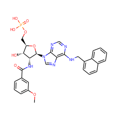 COc1cccc(C(=O)N[C@@H]2[C@H](O)[C@@H](COP(=O)(O)O)O[C@H]2n2cnc3c(NCc4cccc5ccccc45)ncnc32)c1 ZINC000026282354