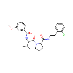 COc1cccc(C(=O)N[C@H](C(=O)N2CCC[C@H]2C(=O)NCCc2ccccc2Cl)C(C)C)c1 ZINC000095605361