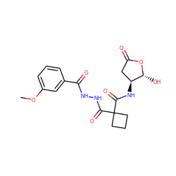 COc1cccc(C(=O)NNC(=O)C2(C(=O)N[C@H]3CC(=O)O[C@@H]3O)CCC2)c1 ZINC000036092981