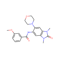 COc1cccc(C(=O)Nc2cc3c(cc2N2CCOCC2)n(C)c(=O)n3C)c1 ZINC000006794912