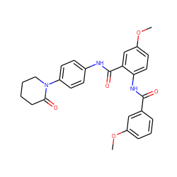 COc1cccc(C(=O)Nc2ccc(OC)cc2C(=O)Nc2ccc(N3CCCCC3=O)cc2)c1 ZINC000299865354