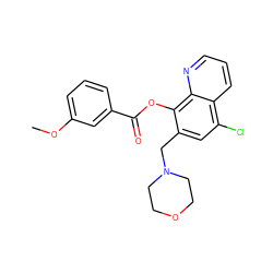 COc1cccc(C(=O)Oc2c(CN3CCOCC3)cc(Cl)c3cccnc23)c1 ZINC000021486782