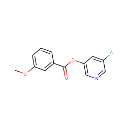 COc1cccc(C(=O)Oc2cncc(Cl)c2)c1 ZINC000040585145