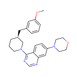 COc1cccc(C[C@@H]2CCCN(c3ncnc4cc(N5CCOCC5)ccc34)C2)c1 ZINC000199427607