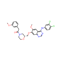 COc1cccc(CC(=O)N2CCO[C@@H](COc3cc4ncnc(Nc5ccc(Cl)c(Cl)c5)c4cc3OC)C2)c1 ZINC000114821660