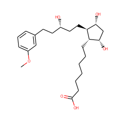 COc1cccc(CC[C@H](O)CC[C@H]2[C@H](O)C[C@H](O)[C@@H]2CCCCCCC(=O)O)c1 ZINC000029320705