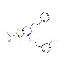 COc1cccc(CCNc2nc(CCc3ccccc3)nc3sc(C(=O)O)c(C)c23)c1 ZINC001772570601