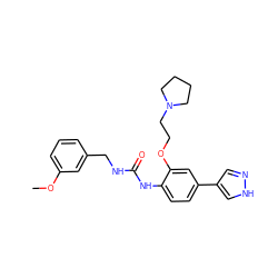 COc1cccc(CNC(=O)Nc2ccc(-c3cn[nH]c3)cc2OCCN2CCCC2)c1 ZINC000140310792