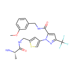 COc1cccc(CNC(=O)c2cc(C(F)(F)F)nn2-c2csc(CNC(=O)[C@H](C)N)c2)c1 ZINC000040891576