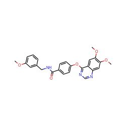 COc1cccc(CNC(=O)c2ccc(Oc3ncnc4cc(OC)c(OC)cc34)cc2)c1 ZINC000082158390