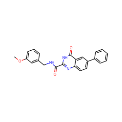 COc1cccc(CNC(=O)c2nc3ccc(-c4ccccc4)cc3c(=O)[nH]2)c1 ZINC000149401616