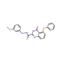 COc1cccc(CNC(=O)c2nc3cccc(Oc4ccccc4)c3c(=O)[nH]2)c1 ZINC000299841284