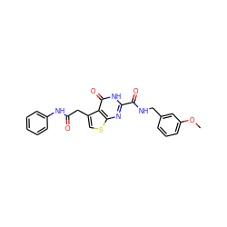 COc1cccc(CNC(=O)c2nc3scc(CC(=O)Nc4ccccc4)c3c(=O)[nH]2)c1 ZINC000202716897