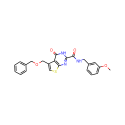 COc1cccc(CNC(=O)c2nc3scc(COCc4ccccc4)c3c(=O)[nH]2)c1 ZINC000149708772