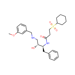COc1cccc(CNC[C@@H](O)[C@H](Cc2ccccc2)NC(=O)CCS(=O)(=O)C2CCCCC2)c1 ZINC000028968563