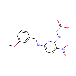 COc1cccc(CNc2ccc([N+](=O)[O-])c(NCC(=O)O)n2)c1 ZINC000004106685