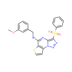 COc1cccc(CNc2nc3c(S(=O)(=O)c4ccccc4)nnn3c3ccsc23)c1 ZINC000009971113