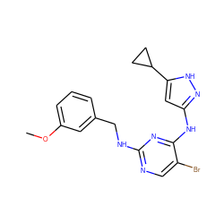 COc1cccc(CNc2ncc(Br)c(Nc3cc(C4CC4)[nH]n3)n2)c1 ZINC000040975321