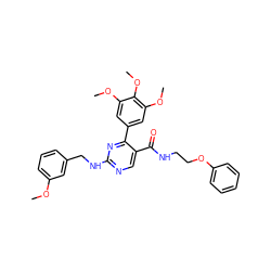 COc1cccc(CNc2ncc(C(=O)NCCOc3ccccc3)c(-c3cc(OC)c(OC)c(OC)c3)n2)c1 ZINC000049881732