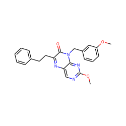 COc1cccc(Cn2c(=O)c(CCc3ccccc3)nc3cnc(OC)nc32)c1 ZINC000004238372