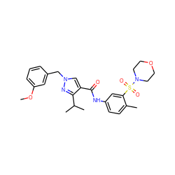 COc1cccc(Cn2cc(C(=O)Nc3ccc(C)c(S(=O)(=O)N4CCOCC4)c3)c(C(C)C)n2)c1 ZINC000169340221