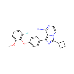 COc1cccc(F)c1Oc1ccc(-c2nc(C3CCC3)n3ccnc(N)c23)cc1 ZINC000096168117