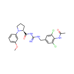 COc1cccc(N2CCC[C@H]2C(=O)NC(=N)NCc2cc(Cl)c(NC(C)=O)c(Cl)c2)c1 ZINC000473159238