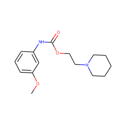 COc1cccc(NC(=O)OCCN2CCCCC2)c1 ZINC000002002619