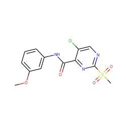 COc1cccc(NC(=O)c2nc(S(C)(=O)=O)ncc2Cl)c1 ZINC000003216911