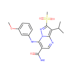 COc1cccc(Nc2c(C(N)=O)cnc3c(C(C)C)c(S(C)(=O)=O)nn23)c1 ZINC000653791873