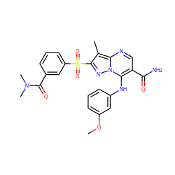 COc1cccc(Nc2c(C(N)=O)cnc3c(C)c(S(=O)(=O)c4cccc(C(=O)N(C)C)c4)nn23)c1 ZINC000653787497