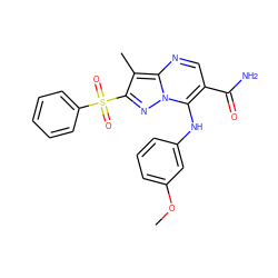 COc1cccc(Nc2c(C(N)=O)cnc3c(C)c(S(=O)(=O)c4ccccc4)nn23)c1 ZINC000653787447