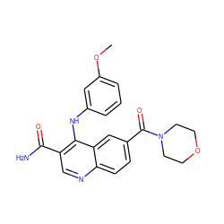 COc1cccc(Nc2c(C(N)=O)cnc3ccc(C(=O)N4CCOCC4)cc23)c1 ZINC000013981032