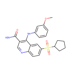 COc1cccc(Nc2c(C(N)=O)cnc3ccc(S(=O)(=O)C4CCCC4)cc23)c1 ZINC000045323803