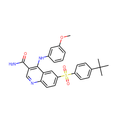 COc1cccc(Nc2c(C(N)=O)cnc3ccc(S(=O)(=O)c4ccc(C(C)(C)C)cc4)cc23)c1 ZINC000045256341