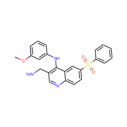 COc1cccc(Nc2c(CN)cnc3ccc(S(=O)(=O)c4ccccc4)cc23)c1 ZINC000040404816