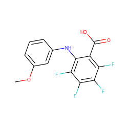 COc1cccc(Nc2c(F)c(F)c(F)c(F)c2C(=O)O)c1 ZINC000001273312