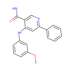 COc1cccc(Nc2cc(-c3ccccc3)ncc2C(N)=O)c1 ZINC001772616160