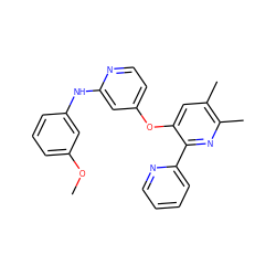 COc1cccc(Nc2cc(Oc3cc(C)c(C)nc3-c3ccccn3)ccn2)c1 ZINC000045300792