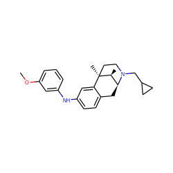 COc1cccc(Nc2ccc3c(c2)[C@@]2(C)CCN(CC4CC4)[C@@H](C3)[C@@H]2C)c1 ZINC000027981216