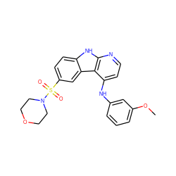 COc1cccc(Nc2ccnc3[nH]c4ccc(S(=O)(=O)N5CCOCC5)cc4c23)c1 ZINC000103297559