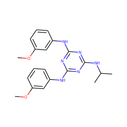 COc1cccc(Nc2nc(Nc3cccc(OC)c3)nc(NC(C)C)n2)c1 ZINC001772620284