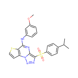 COc1cccc(Nc2nc3c(S(=O)(=O)c4ccc(C(C)C)cc4)nnn3c3ccsc23)c1 ZINC000009969243