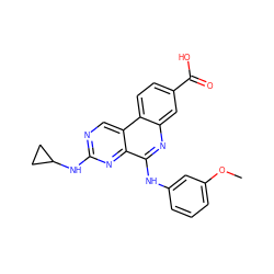 COc1cccc(Nc2nc3cc(C(=O)O)ccc3c3cnc(NC4CC4)nc23)c1 ZINC000139822906