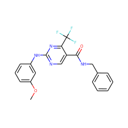 COc1cccc(Nc2ncc(C(=O)NCc3ccccc3)c(C(F)(F)F)n2)c1 ZINC000028645232