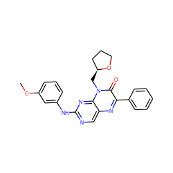 COc1cccc(Nc2ncc3nc(-c4ccccc4)c(=O)n(C[C@H]4CCCO4)c3n2)c1 ZINC000004238212