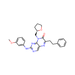 COc1cccc(Nc2ncc3nc(CCc4ccccc4)c(=O)n(C[C@H]4CCCO4)c3n2)c1 ZINC000004238230