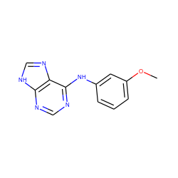 COc1cccc(Nc2ncnc3[nH]cnc23)c1 ZINC000000031969