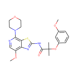 COc1cccc(OC(C)(C)C(=O)Nc2nc3c(OC)cnc(N4CCOCC4)c3s2)c1 ZINC001772652273