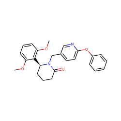 COc1cccc(OC)c1[C@@H]1CCCC(=O)N1Cc1ccc(Oc2ccccc2)nc1 ZINC000167106441